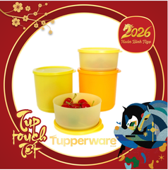 Set 4 Hộp Trữ Mát Hình Trụ Round Stax 530ml/ 1.1L (4 Hộp)