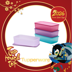 Bộ 4 Hộp Tupperware Bảo Quản Thực Phẩm Pak N Stor - Tupperware Chính Hãng