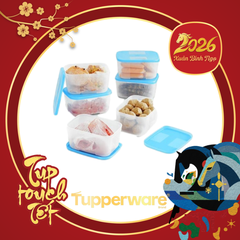 Bộ Hộp Tupperware Trữ Đông Freezermate 650ml (6 Hộp)