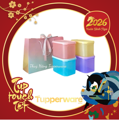 Bộ Hộp BQTP Tupperware Colorful Rectangular