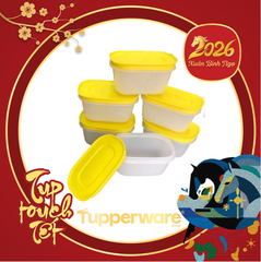 Trọn Bộ Hộp Tupperware Trữ Đông Mini Freezermate Gen II 170ml (6 Hộp)