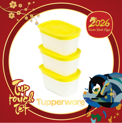 1/2 Bộ Hộp Tupperware Trữ Đông Mini Freezermate Gen II 170ml (3 Hộp)