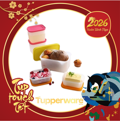 Set 4h đông dẻo Tupperware (4)
