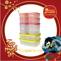 Tuptrung Bộ Hộp Đông Dẻo 8 Hộp Nhiều màu (08 Hộp)