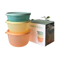 Bộ 3 Hộp Trữ Khô Và Mát Tupperware Modular Bowl Variety 1.9L, 1.4L, 950ml