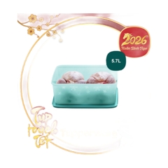 Hộp Trữ Đông Tupperware Freezermate Gen II 5.7L Đông Dẻo Cao Cấp