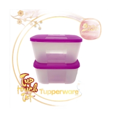 Hộp Trữ Đông Tupperware Basic 650ml - Nắp Hồng