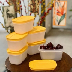 Hộp Trữ Đông Tupperware Gen II 170ml Đông Dẻo - Nắp Vàng