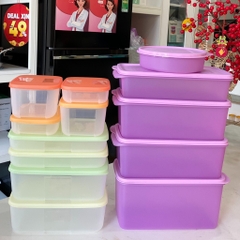 Combo Bộ Hộp Tupperware Trữ Đông Freezermate Colorful Set 8 Hộp Và Bộ Hộp Trữ Mát Freshia Collection Purple 5 hộp