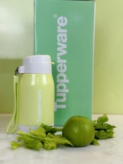 Bình Tupperware Giữ Nhiệt Lạnh Lohas 330m Có Ống Hút