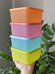 Hộp Lẻ Tách Set Tupperware Ngăn Mát ( 1 hộp )
