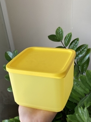 Hộp Lẻ Tách Set Tupperware Ngăn Mát ( 1 hộp )
