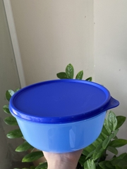 Hộp Lẻ Tách Set Tupperware Ngăn Mát ( 1 hộp )