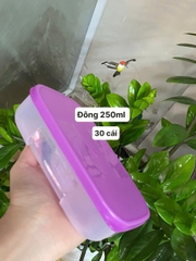 Tupmalay - Hộp Đông Dẹt Tupperware Freemate 250ml (01 Hộp)