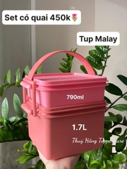 Tupmalay Set Hộp Cơm Mát 2 Tầng Có Quai (cam+hồng) (790ml-1.7 lit) - Màu Ngẫu Nhiên