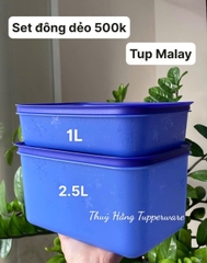 Tupmalay Hộp Đông Dẻo 1L Nắp Xanh Thân Xanh (01 Hộp)