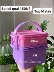 Tupmalay Set Hộp Cơm Mát 2 Tầng Có Quai (cam+hồng) (790ml-1.7 lit) - Màu Ngẫu Nhiên