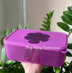 Tupmalay Hộp Đựng Khăn Giấy Nắp Tím Thân Tím (01 Hộp)