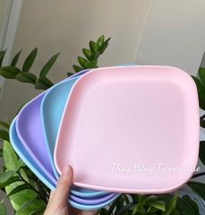Combo Tuptrung Bộ Đĩa Vuông 20cm 4 Màu