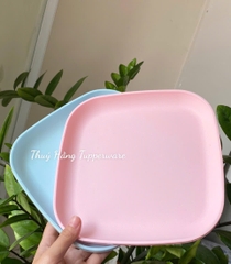 Combo Tuptrung Bộ Đĩa Vuông 20cm 4 Màu