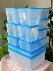 Combo 14 Hộp Đông Nắp Xanh Jumbo