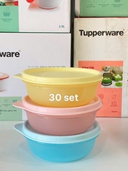 Hộp Mát Tupperware Round bowl 4 Màu 300ml (01 Hộp)