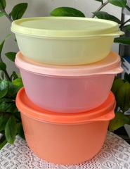 Tuptrung Trữ mát và khô Modular Bowl (set)
