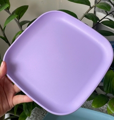 Combo Tuptrung Bộ Đĩa Vuông 20cm 4 Màu