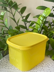 Combo Tuptrung Set 4 Hộp Mát Colorful 1.9L (4 Hộp)