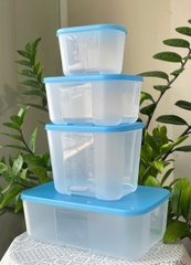 Combo Tuptrung Set 4 Hộp Đông Basic 650ml Nắp Xanh (4 Hộp)