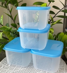 Combo Tuptrung Set 4 Hộp Đông Basic 650ml Nắp Xanh (4 Hộp)