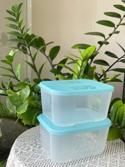 Combo Tuptrung Set 6 Hộp Đông Basic 650ml Nắp Xanh (6 Hộp)