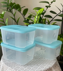 Combo Tuptrung Set 6 Hộp Đông Basic 650ml Nắp Xanh (6 Hộp)