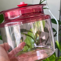 Tuptrung Hũ Đựng Snack Nhựa Clear Trong Màu Đỏ 900ml