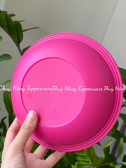 Set 4 đĩa Sâu Lòng Everyday Plate Set 4 Tupperware 4 Màu 17.5cm