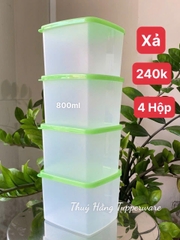 Set Mát Tupperware Thân Trong 840ml (4)