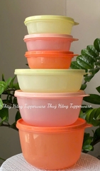 Set Mát Tupperware Tròn 6 Hộp ( 2L, 1.5L,1L, 300l)