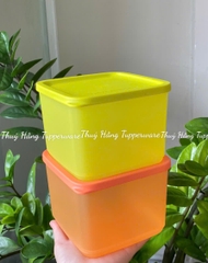 Bộ Hộp BQTP Medium Squar Round 1L (4 hộp)