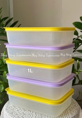Tuptrung - Hộp đông thân trong 1L - màu tím