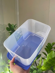 Tupmaly - Hộp đông 2.6L