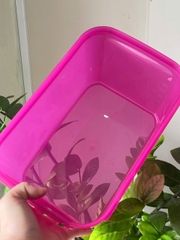 Tupmalay - Hộp mát Outdoor bowl 6.5L