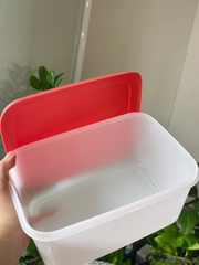 Tuptrung - Hộp đông dẻo 2.5L - nắp đỏ
