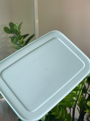 Tuptrung - Hộp đông dẻo 2.5L - nắp đỏ