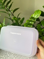 Tuptrung - Hộp đông thân trong 1L - màu tím