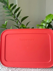 Hộp Tupperware Đông dẻo 1 lít - nắp cam đậm mớip