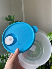Hộp mát Tupperware 800ml quay lvs - thân trong nắp xanh
