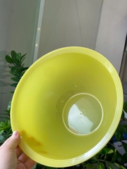 Tuptrung Bowl 4.3L
