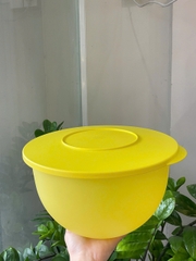 Tuptrung Bowl 4.3L