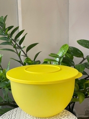 Tuptrung Bowl 4.3L