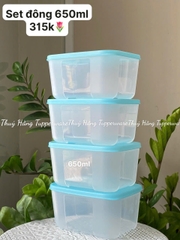 Combo 4h Đông 650ml Tupperware Màu Paradise